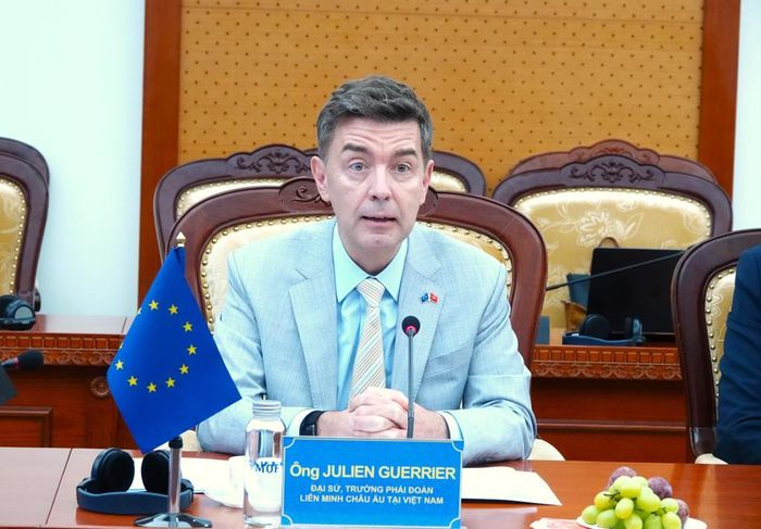 Ông Julien Guerrier, Đại sứ, Trưởng Phái đoàn Liên minh châu Âu (EU) tại Việt Nam. (Ảnh: CTT Bộ Tài chính)