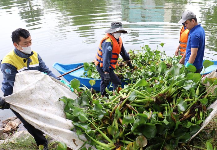 Công nhân Công ty Thoát nước và xử lý nước thải Đà Nẵng thu gom bèo, rác ở các kênh thoát nước để tránh gây tắc nghẽn dòng chảy. Ảnh: HOÀNG HIỆP