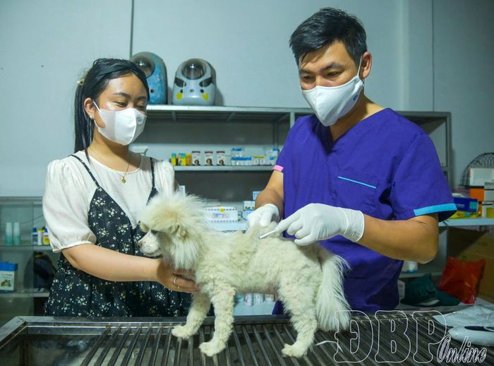 Tiêm vắc xin phòng bệnh đầy đủ vừa bảo vệ sức khỏe vật nuôi vừa tạo "lá chắn" an toàn cho cộng đồng.