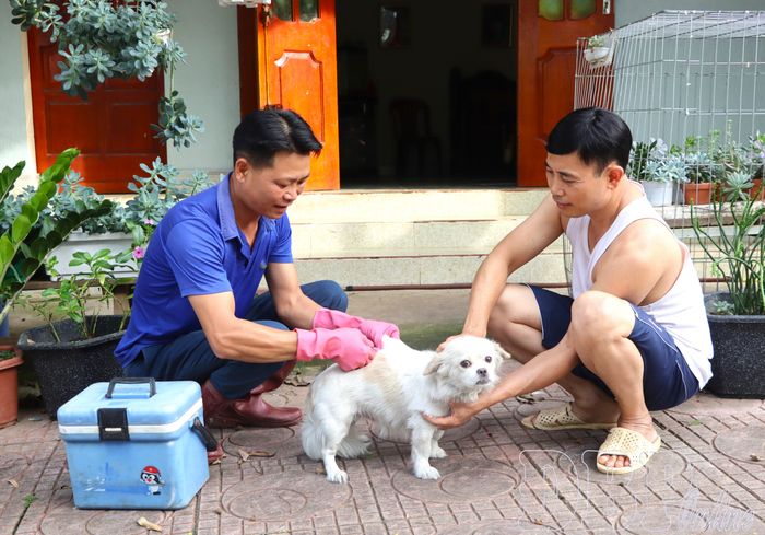 Cán bộ Trung tâm dịch vụ tổng hợp xã Na Son tiêm phòng bệnh dại cho chó, mèo tại tổ dân phố 5. 