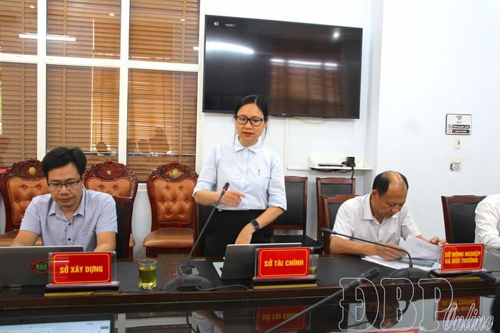 Đại diện Sở Tài chính phát biểu tại cuộc họp.