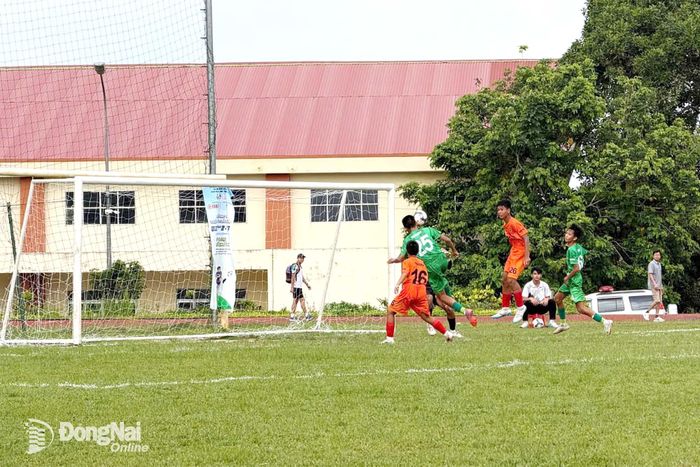Đội U.13 Học viện bóng đá Trường Tươi Đồng Nai (áo xanh) thi đấu lấn lướt trước các đội bóng tại vòng loại. Ảnh: HVBĐ TTĐN