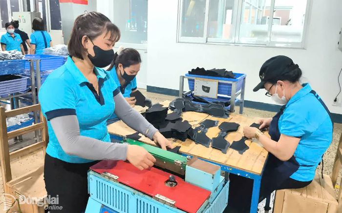 Hoạt động sản xuất tại Công ty TNHH Chang Shin Việt Nam (phường Tân Triều, thành phố Đồng Nai). Ảnh: Vương Thế