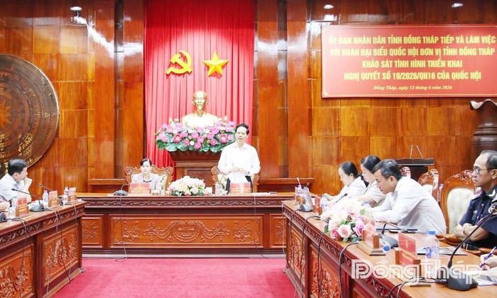 Đồng chí Nguyễn Thành Diệu, Tỉnh ủy viên, Phó Chủ tịch UBND tỉnh phát biểu tác động của Nghị quyết 19 đối với kinh tế - xã hội của tỉnh.