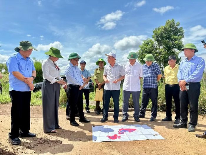  Bí thư Tỉnh ủy Thái Đại Ngọc kiểm tra thực tế tại khu vực dự án chuyển đổi diện tích cao su trên đất rừng nghèo của Công ty TNHH một thành viên Cao su Chư Păh. Ảnh: Hà Duy 