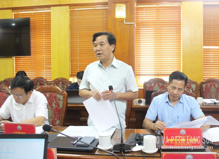 Lãnh đạo Sở Nông nghiệp và Môi trường trình bày nội dung thẩm tra