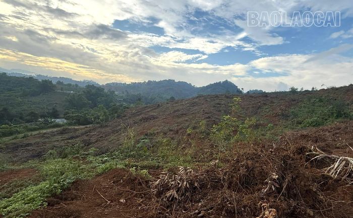 Xã Gia Phú hoàn thành giải phóng mặt bằng 75 ha trong vòng hơn 3 tháng.
