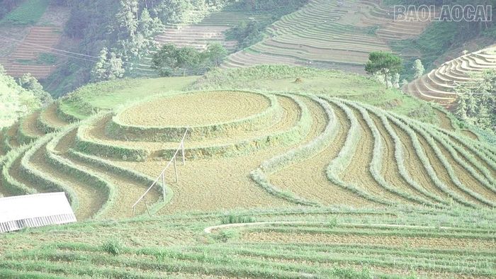 Đầu tháng 6 hằng năm, Đồi mâm xôi thường thu hút đông đảo du khách đến chiêm ngưỡng mùa nước đổ, nhưng năm nay nhiều diện tích vẫn chưa có nước.