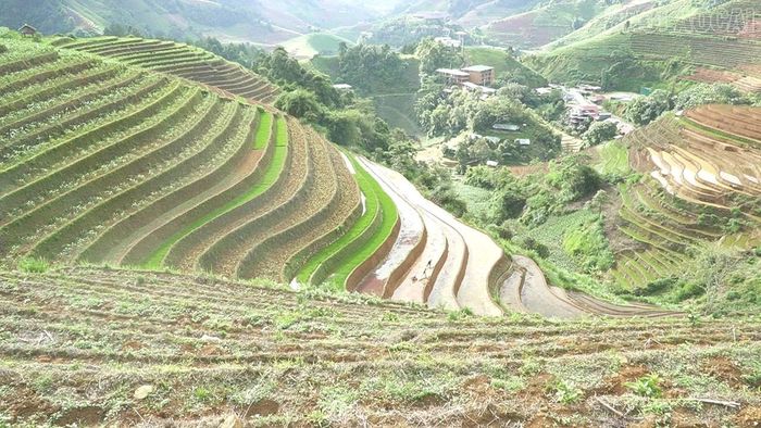 Người dân phải đầu tư đường ống dẫn nước để phục vụ sản xuất.