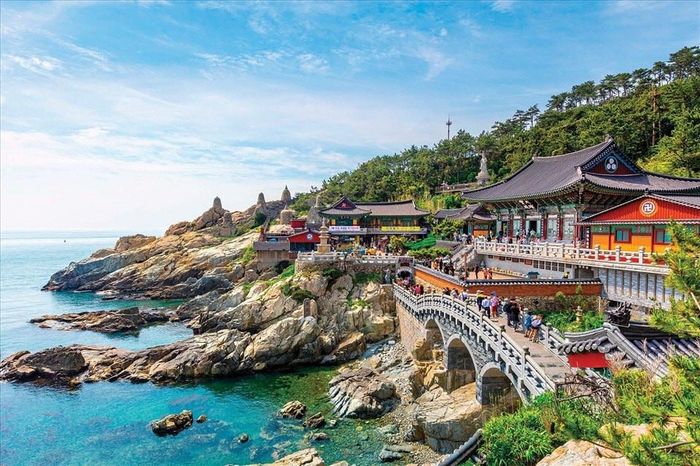 Một góc Hàn Quốc. Ảnh: Internet