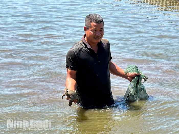 Anh Huy luôn duy trì việc kiểm tra thường xuyên ao nuôi và sức khỏe của ba ba để kịp thời phát hiện, xử lý các vấn đề dịch bệnh, bảo đảm năng suất, chất lượng sản phẩm.