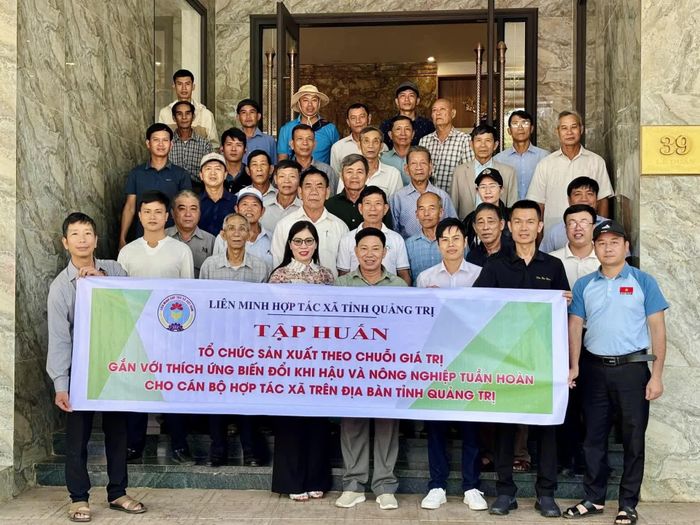 Liên minh Hợp tác xã tỉnh tăng cường tập huấn về liên kết sản phẩm cho cán bộ hợp tác xã - Ảnh M.H