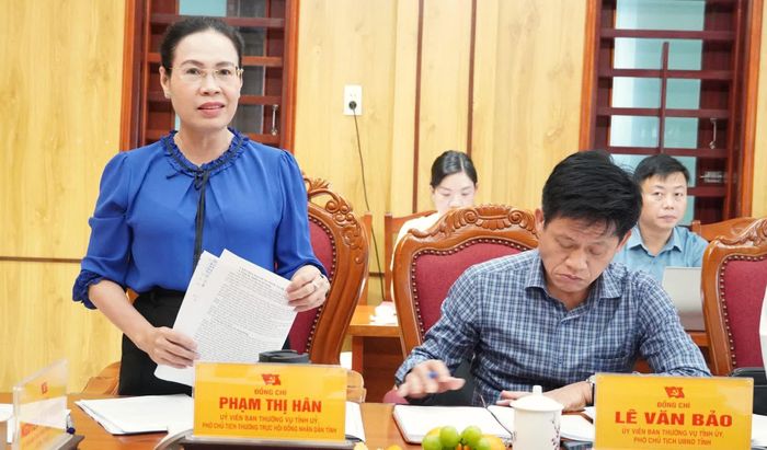 Đồng chí Phạm Thị Hân, Phó Chủ tịch Thường trực HĐND tỉnh phát biểu tại buổi làm việc - Ảnh: Q.V