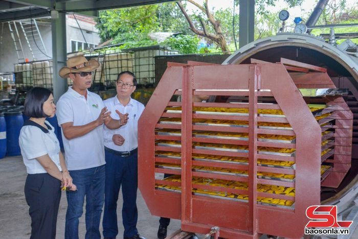 HTX Dịch vụ Phát triển Nông nghiệp 19/5, phường Vân Sơn áp dụng công nghệ máy sấy dẻo vào sản xuất.