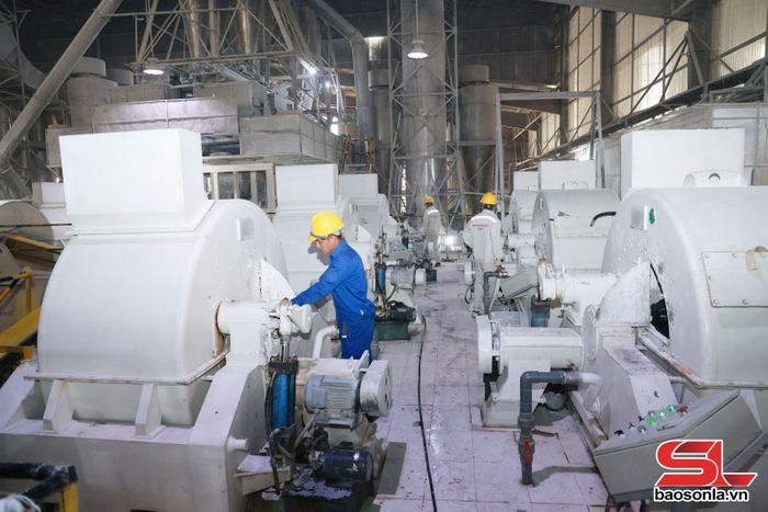 Ca sản xuất tại Công ty cổ phần chế biến nông sản BHL Sơn La (Khu CN Mai Sơn).
