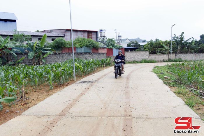 Đường giao thông tổ 17, phường Chiềng Sinh được bê tông hóa, thuận tiện giao thương, đi lại cho nhân dân.