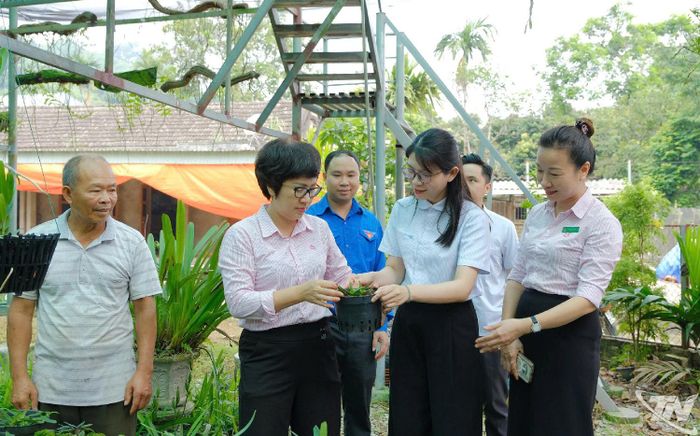 Đoàn kiểm tra thăm mô hình trồng lan tại gia đình ông Trần Đức Quân, xóm Trung Thần, xã Đồng Hỷ, được vay vốn giải quyết việc làm.