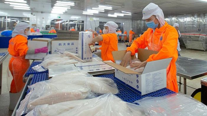 Nhằm chuẩn bị năng lực cung ứng cho các cơ hội tăng trưởng trong thời gian tới, Thủy sản Nam Việt dự kiến chi 300 tỷ đồng để đầu tư Nhà máy chế biến thủy sản xuất khẩu Bắc Băng Dương trong năm nay.