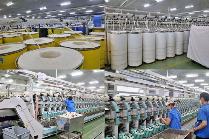 Dệt 8-3 - Vinatex đang tập trung phát triển các dòng sợi chất lượng cao, sợi kỹ thuật và sợi có giá trị gia tăng; chuyển từ mặt hàng sợi phổ thông sang các sợi khác biệt như: sợi slub tạo hiệu ứng thời trang, sợi bọc chun co giãn (Core Spandex Yarn), sợi Siro chất lượng cao và các dòng sợi tái chế (Recycle Yarn) đạt các tiêu chuẩn quốc tế như GRS/RCS, đáp ứng nhu cầu ngày càng tăng của các thương hiệu thời trang toàn cầu về nguyên liệu thân thiện môi trường và truy xuất nguồn gốc.