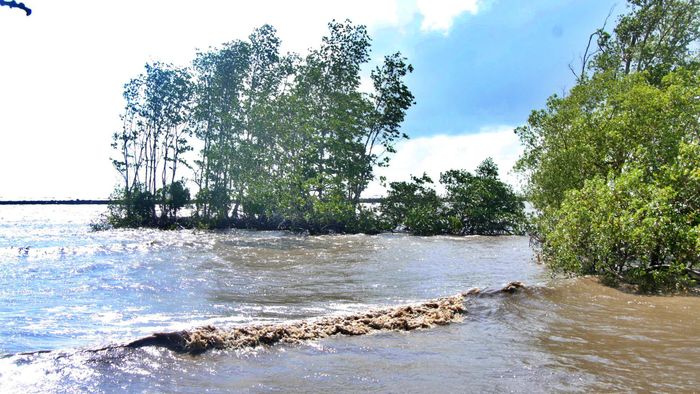 Ông Phạm Thanh Hải, Phó Chi cục trưởng Chi cục Thủy lợi tỉnh Cà Mau cho biết: "Hệ thống đê biển của tỉnh vẫn chưa được 'cứng hóa' toàn tuyến, một số đoạn trên đê biển Tây vẫn là đê đất, chịu sự tác động lớn bởi gió mùa Tây Nam, đặc biệt là đoạn xung yếu dài 120m tại xã Đá Bạc. Tỉnh Cà Mau đã trình cấp thẩm quyền để từng bước khép kín đê biển từ Tây sang Đông, đảm bảo quốc phòng, phát triển sản xuất".