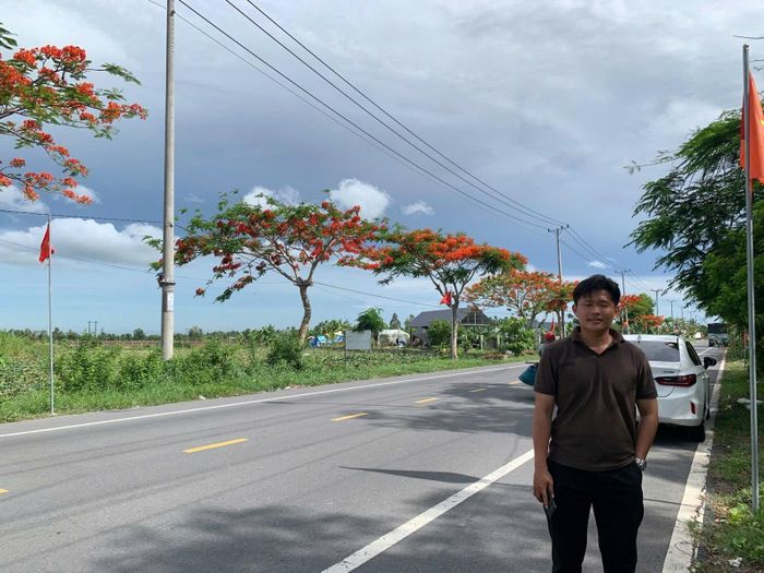 Những hàng phượng vĩ đồng loạt khoe sắc đỏ bên tuyến đường Nguyễn Ái Quốc, thu hút nhiều người dân và du khách đến tham quan, chụp ảnh. Ảnh: Đức Linh.