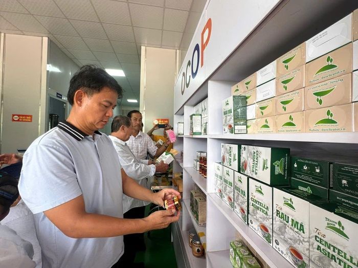 Đoàn công tác tìm hiểu các sản phẩm OCOP tiêu biểu của các hợp tác xã tại tỉnh Quảng Trị.