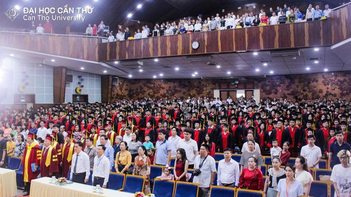 Sau tốt nghiệp, sinh viên Đại học Cần Thơ có thể tiếp tục nghiên cứu khoa học, chuyển giao công nghệ, đào tạo nhân lực, tư vấn chính sách