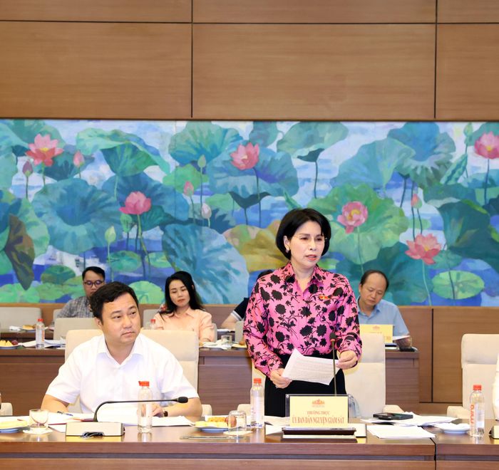 Phó Chủ nhiệm Ủy ban Dân nguyện và Giám sát Trần Thị Nhị Hà phát biểu
