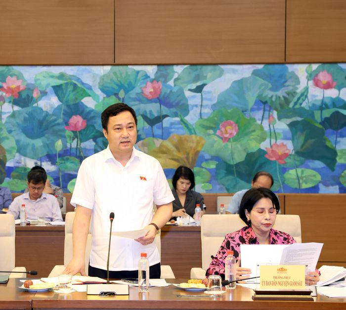 Phó Chủ nhiệm Ủy ban Dân nguyện và Giám sát Cao Mạnh Linh phát biểu