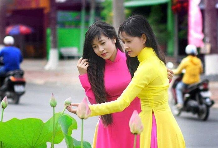 Trong khuôn khổ lễ hội sẽ có 1.500 phụ nữ mặc áo dài Sen biểu diễn trên phố
