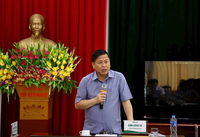 Phó Chủ tịch UBND tỉnh Phú Thọ Đinh Công Sứ phát biểu kết luận buổi làm việc.