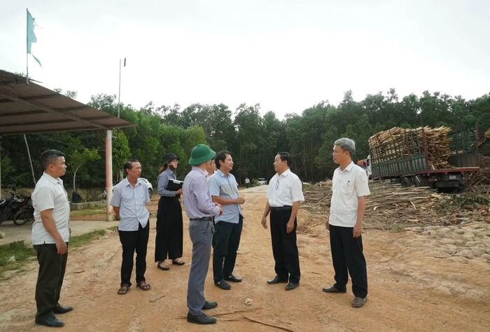 Sở Nông nghiệp và Môi trường TP vừa Huế kiểm tra các trạm cân thu mua gỗ keo tràm trái phép dọc tuyến tỉnh lộ 14B qua địa bàn xã Hưng Lộc.
