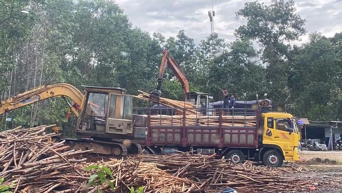 Các trạm cân thu mua keo tràm không phép ở xã Hưng Lộc đã ảnh hưởng đến đời sống dân sinh và tiềm ẩn nguy cơ tai nạn giao thông.