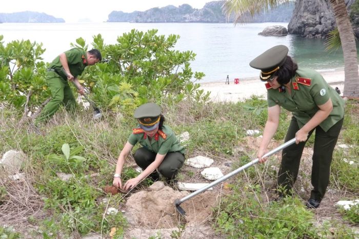 Các đại biểu tham gia chương trình trồng cây xanh tại đảo Cát Bà.