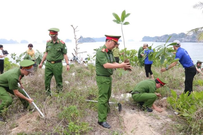 Đông đảo cán bộ chiến sỹ Công an và nhân dân trồng cây trên đảo Cát Bà.