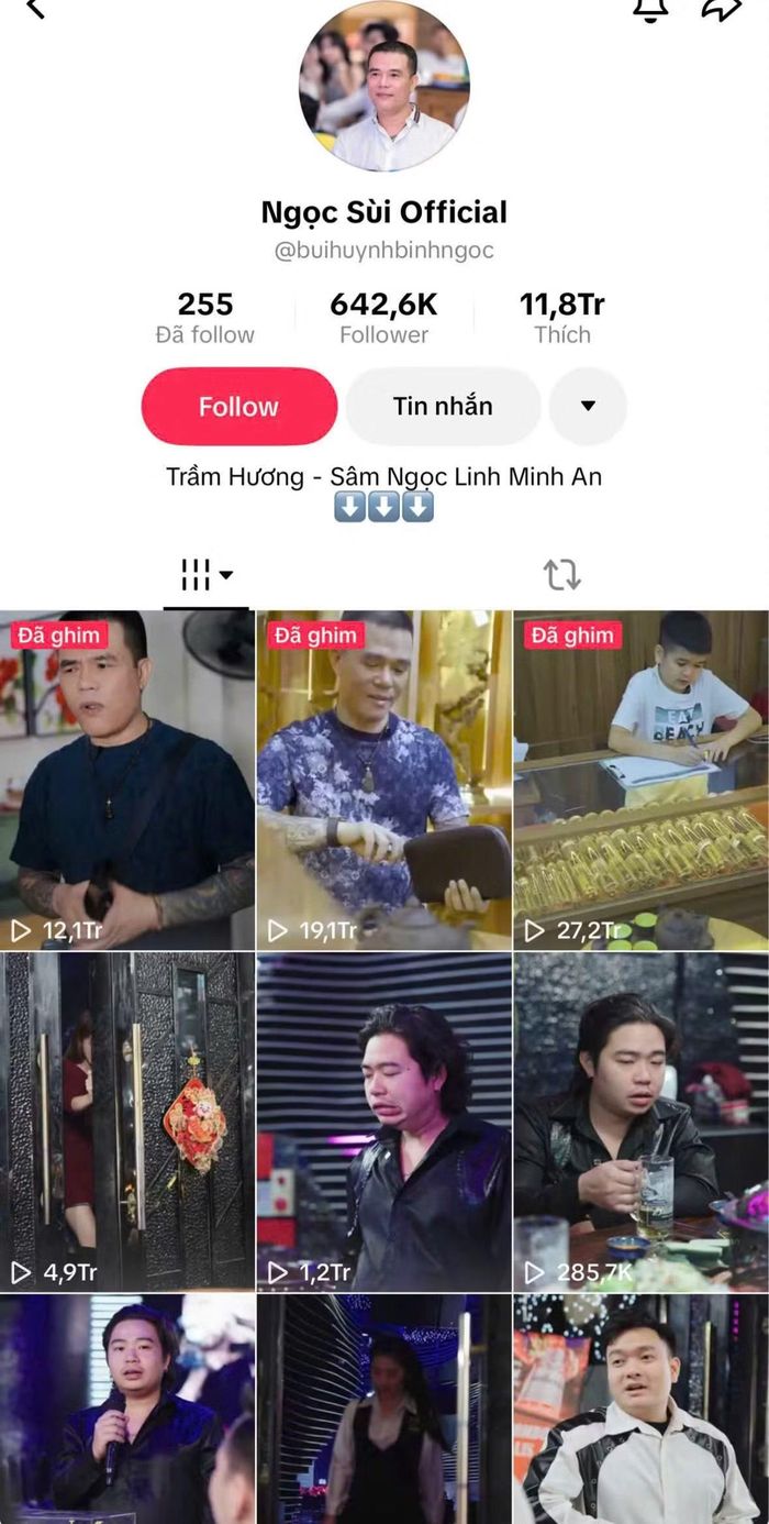 Kênh Tiktok của Ngọc "sủi" thu hút nhiều người theo dõi