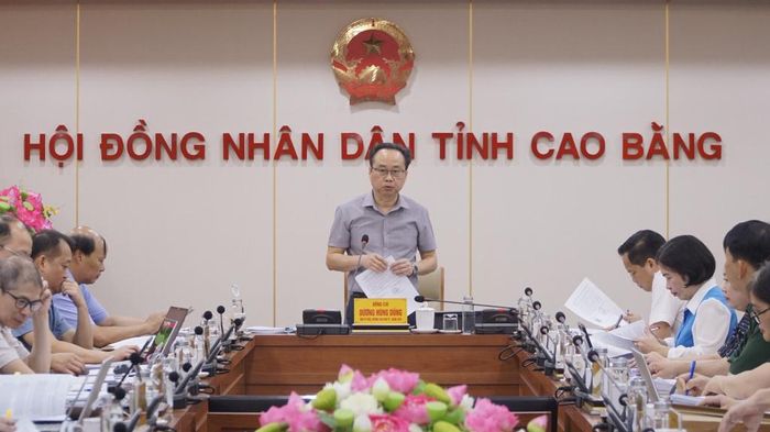 Đồng chí Dương Hùng Dũng, Trưởng Ban Kinh tế - Ngân sách, HĐND tỉnh kết luận cuộc họp thẩm tra.