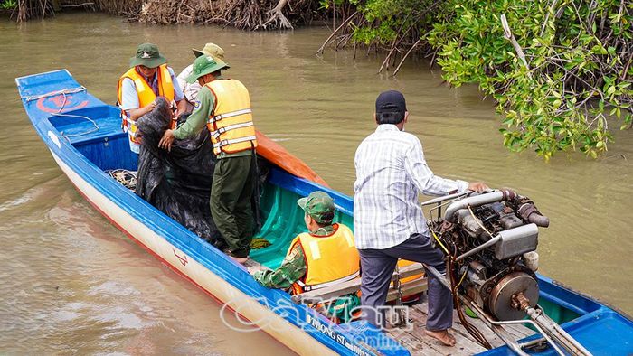 Lực lượng chức năng tháo dỡ các miệng đăng khai thác cá giống trái phép.