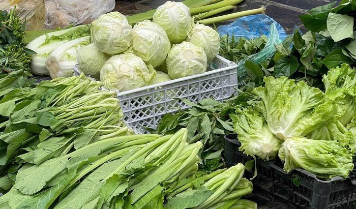 Rau nhanh héo hay không phụ thuộc nhiều vào cách bảo quản