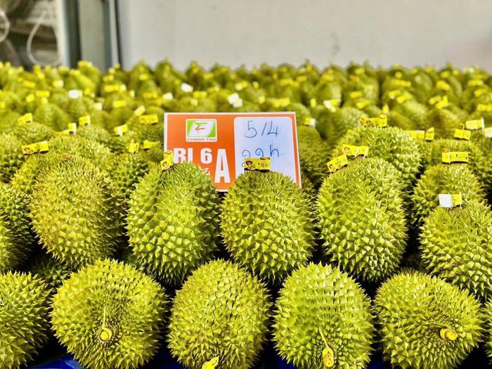 Công tác quản lý mã số vùng trồng và cơ sở đóng gói tiếp tục là đòn bẩy lớn cho xuất khẩu
