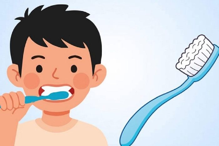 Một số người trưởng thành lại chọn bàn chải đánh răng dành cho trẻ em vì nghĩ rằng chúng nhỏ nên có thể dễ dàng làm sạch những vùng nằm sâu trong khoang miệng.