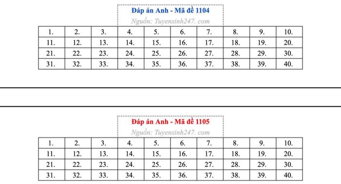 Gợi ý đáp án môn Tin mã đề 1104 và 1105.