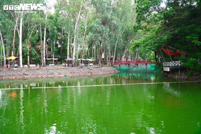 Tổng số hài cốt được chôn cất tại Công viên Lê Thị Riêng được ước tính khoảng 900 liệt sĩ và đồng bào, hiện vẫn chưa được khai quật.