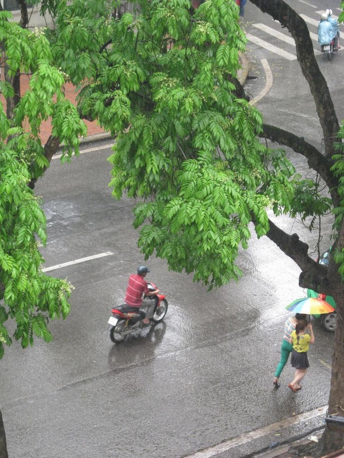 Những giọt nước mưa cũng phản chiếu ý thức của mỗi người. Ảnh minh họa