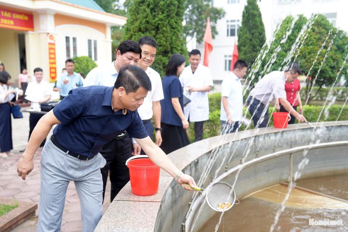 Thả cá vào bể chứa nước để diệt bọ gậy, ngăn ngừa nguy cơ phát sinh sốt xuất huyết. Ảnh: Phạm Hùng