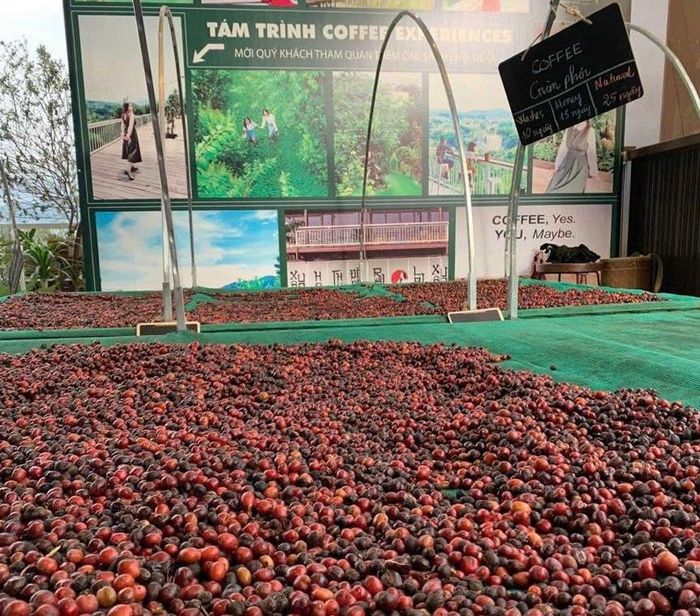 Đưa hệ thống truy xuất nguồn gốc nông sản vào hoạt động góp phần thúc đẩy phân khúc nông sản chất lượng cao. Ảnh HK