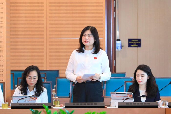 Bí thư Đảng ủy, Chủ tịch HĐND xã Phù Đổng Đặng Thị Huyền thảo luận tại Tổ 2. Ảnh: Thành Thái