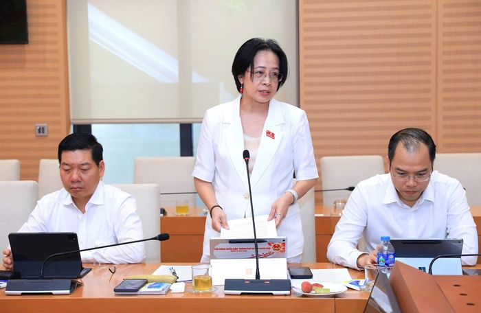 Đại biểu tham gia thảo luận tại tổ đại biểu HĐND số 1. Ảnh: Thành Thái