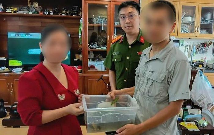 2 cá thể rùa cổ sọc thuộc nhóm động vật quý hiếm, nằm trong diện bảo tồn theo Sách đỏ Việt Nam. Ảnh: CAHN
