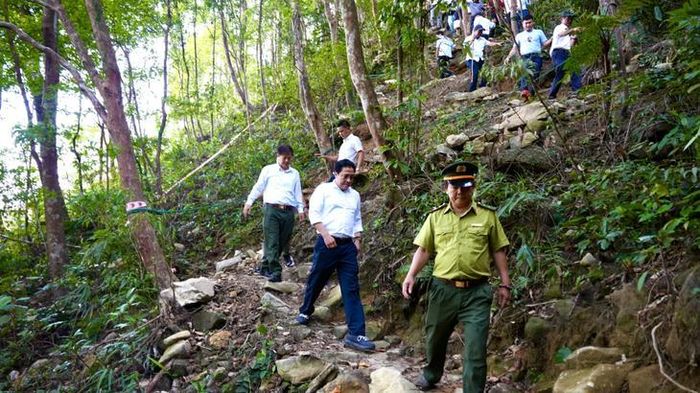 Lãnh đạo UBND TP Huế cùng các đơn vị liên quan khảo sát tại Vườn quốc gia Bạch Mã.